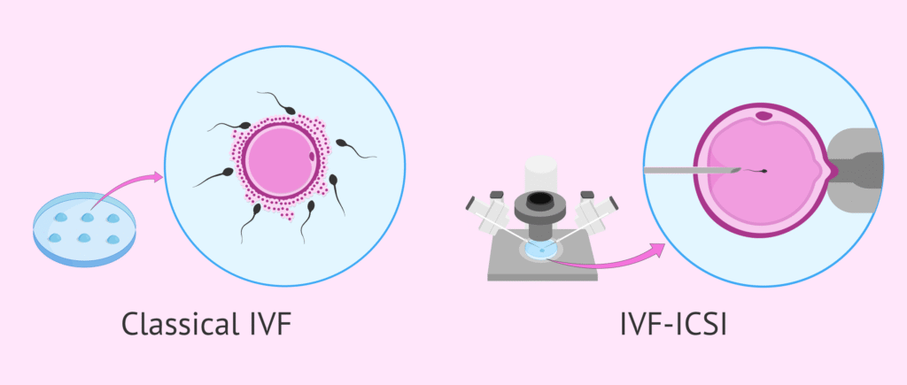 Fueling Fertility: How Diet, Fitness, and Expert Care Impact Your IVF Success