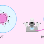 Fueling Fertility: How Diet, Fitness, and Expert Care Impact Your IVF Success