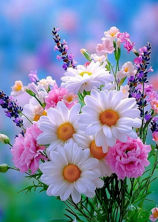 Mexico vs. United Suggests within World wide Baseball Standard