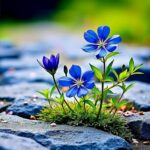 Hoglander, Canucks win second straight versus Oilers