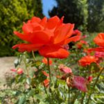 Mariners – Guardians Recreation Preview