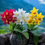 2025 NFL Draft: 3 aspects toward understand pertaining to LeQuint Allen