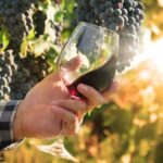 Leading Natural Wine Makers You Should Know