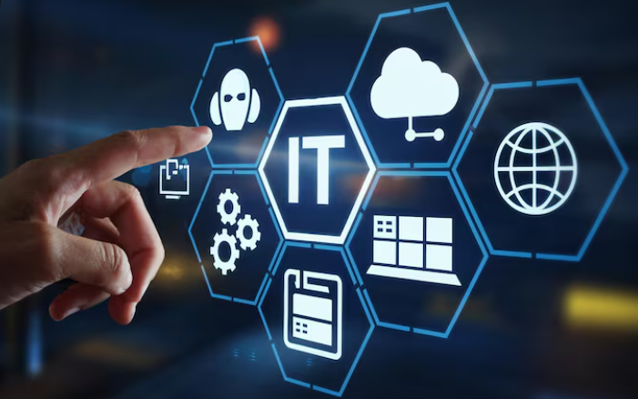 Why Ecommerce Brands Need Custom Software Development Services