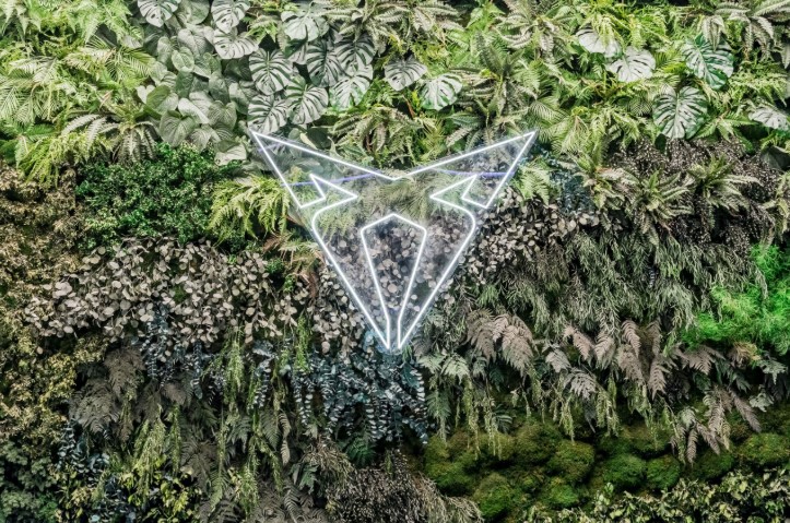 Jardines Verticales Madrid: Diseño y Decoración Natural Profesional