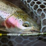 Best Fly Rod Setup for Bass Fly Fishing: A Complete Guide