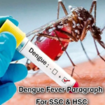 dengue fever paragraph: ডেঙ্গু জ্বরের কারণ, লক্ষণ ও প্রতিরোধের পূর্ণাঙ্গ আলোচনা