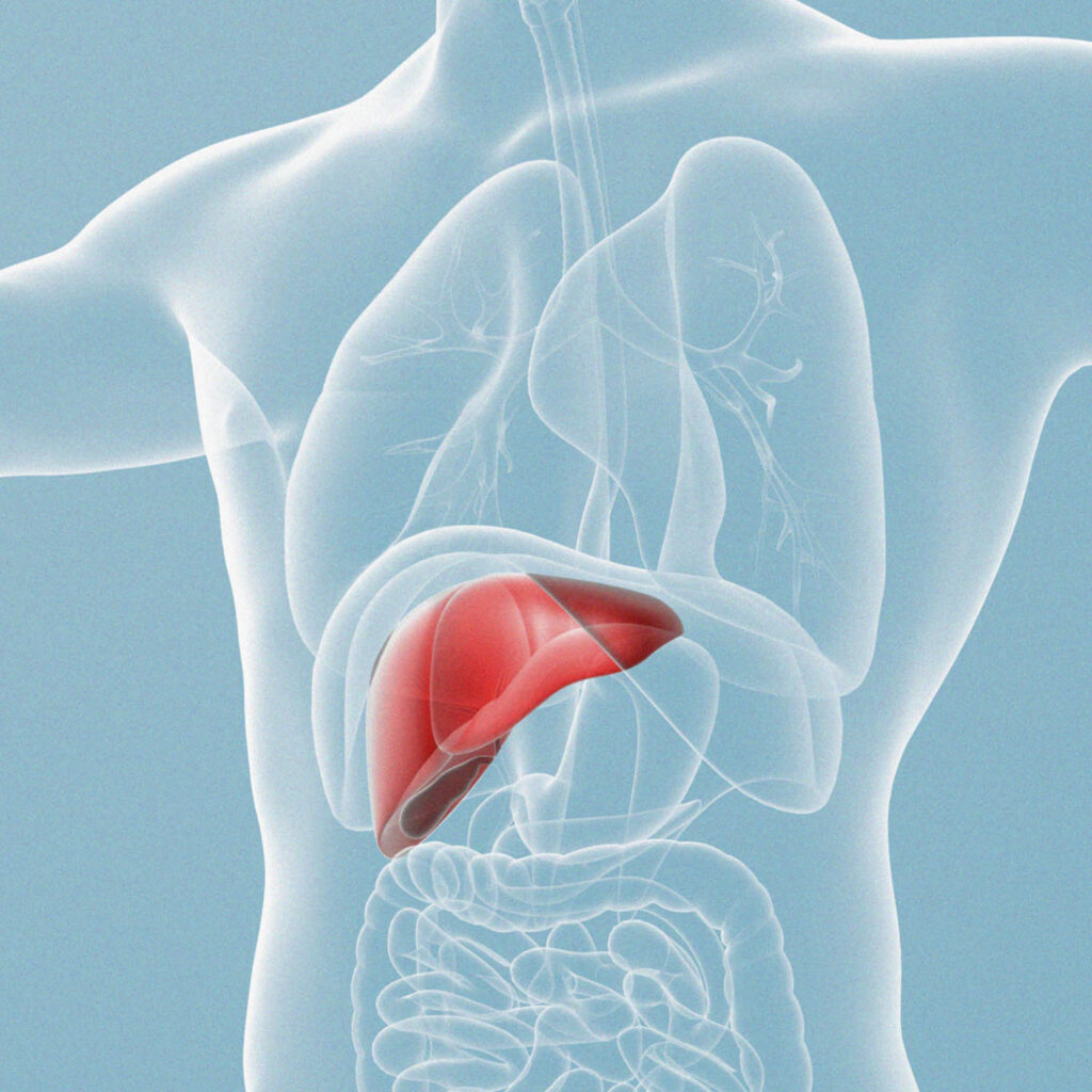 Choosing the Right Specialist: Best Liver Doctor Dubai