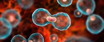 Multimodal Cancer Treatment Approaches Used in Mumbai