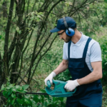 How Does a Professional Tree Removal Service Prevent Yard Accidents?