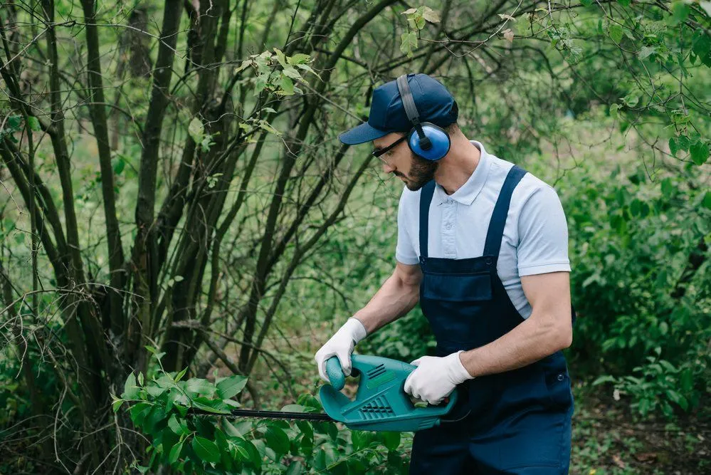 How Does a Professional Tree Removal Service Prevent Yard Accidents?