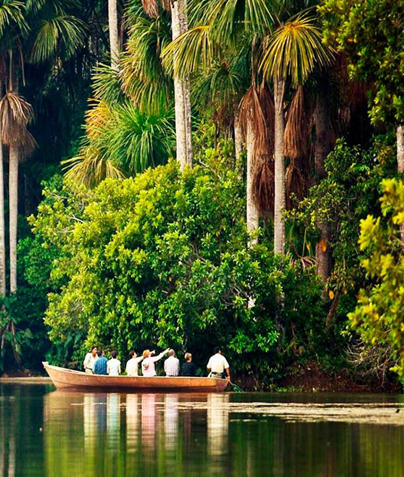 Are You Ready for Adventure? Discover the Best Tambopata National Reserve Packages