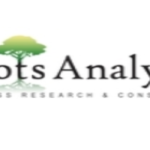 Thermoplastic Elastomers Market Comprehensive Statistics, Growth Rate, and Future Trends 2035