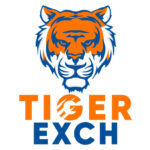 Cherish a reasonable online betting experience with Tiger Exchange