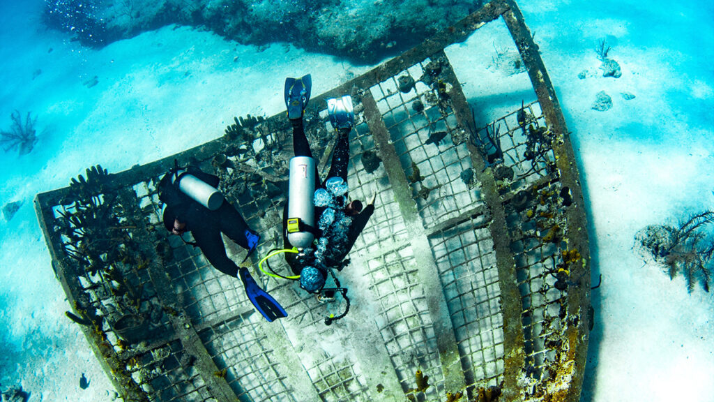 Adventure Bahamas Resort Vacation: Dive, Explore, Relax