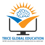 Trice Global Education: Driving Online Success with Smart Internet Marketing Solutions