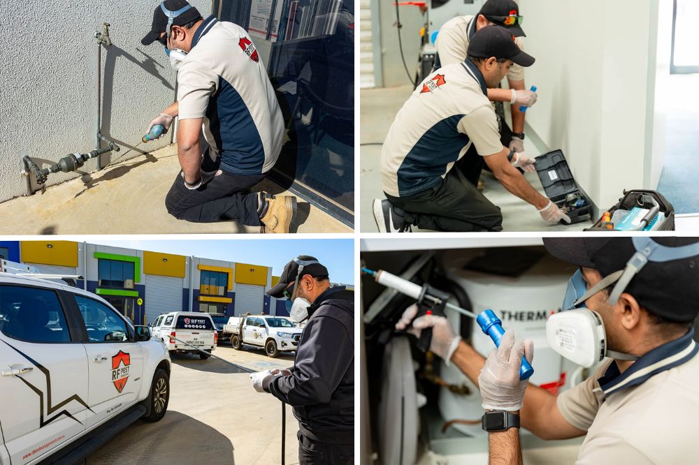 What is the Hardest Pest to Get Rid of?