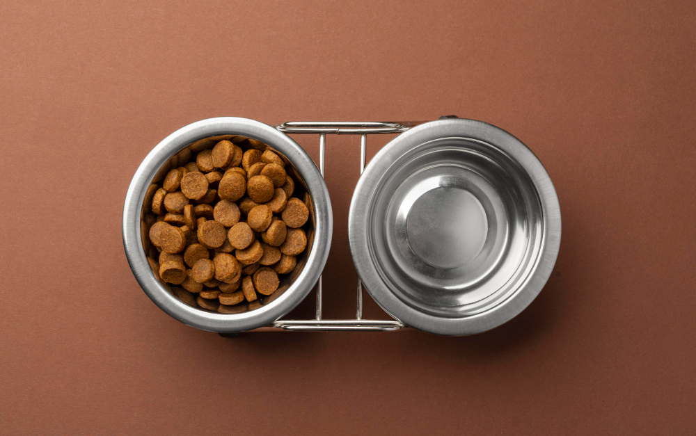 How Elevated Extra Large Dog Bowls Can Benefit Large Breeds