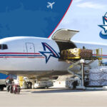 How to Choose the Right Temperature Controlled Freight Shipping Provider?