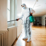 Cost of Pest Control in Lexington KY: A Complete Breakdown