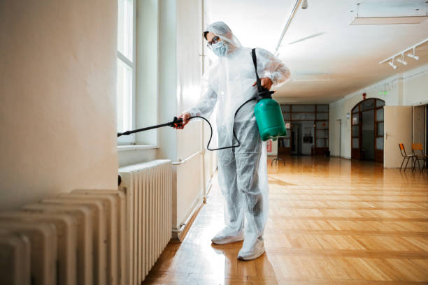 Cost of Pest Control in Lexington KY: A Complete Breakdown