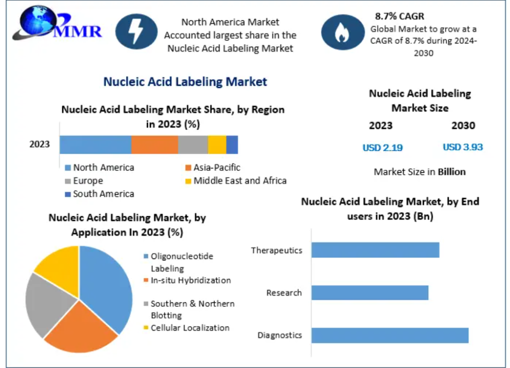 Nucleic Acid Labeling Market Trends, Growth Factors, Size, Segmentation and Forecast to 2032
