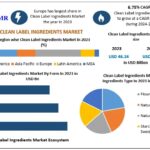 Clean Label Ingredients Market Outlook with Increasing Adoption of Natural Food Formulations