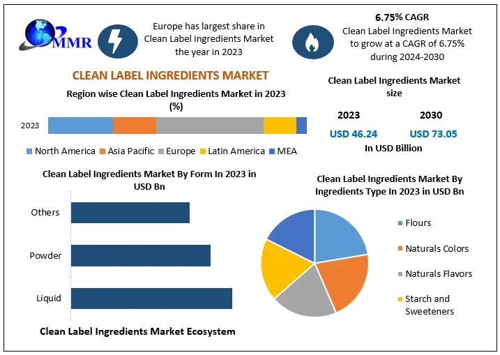 Clean Label Ingredients Market Outlook with Increasing Adoption of Natural Food Formulations