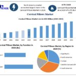Cervical Pillows Market Insights Growth Drivers And Industry Outlook