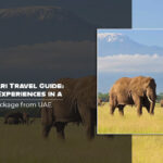 Kenya Safari Travel Guide: Essential Experiences in a Kenya Tour Package from UAE