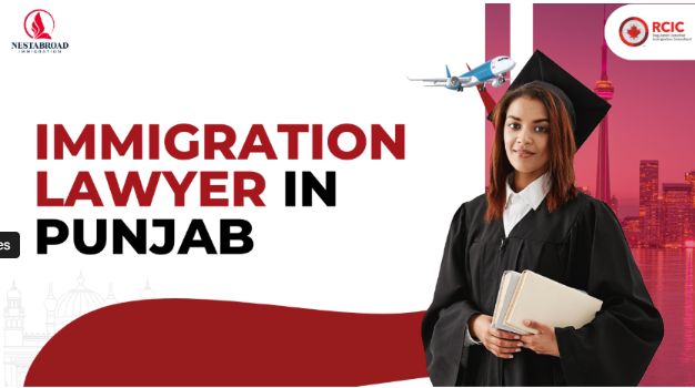 Immigration Lawyer in Punjab: Expert Legal Guidance by Nestabroad Immigration