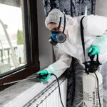 DIY vs Professional Emergency Pest Control: What Works Best