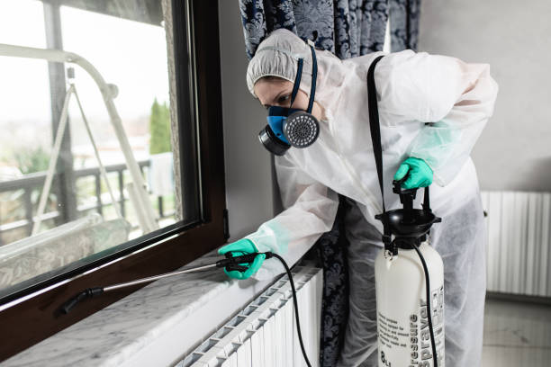 Bed Bug Treatment: DIY Methods vs Professional Services