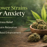 The Cannabis Shopping Mistake Almost Everyone Makes Online