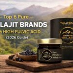 Top 6 Pure Shilajit Brands with High Fulvic Acid (2026 Guide)