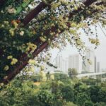 Top Romantic Places in Singapore for Honeymoon Couples