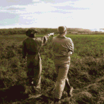 How to Leverage Agriculture to Help Solve the Climate Crisis