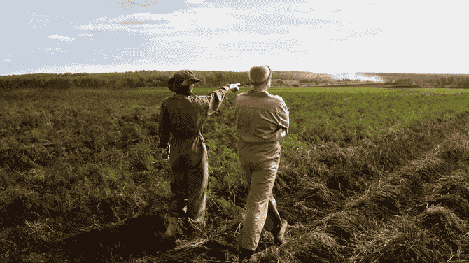 How to Leverage Agriculture to Help Solve the Climate Crisis