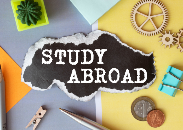 A Detailed Guide to Studying Abroad for First-Time Students