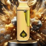 Ace Black BRDGE Disposable by Carts Disposable Shop – Flavorful Vaping Without Refills or Charging