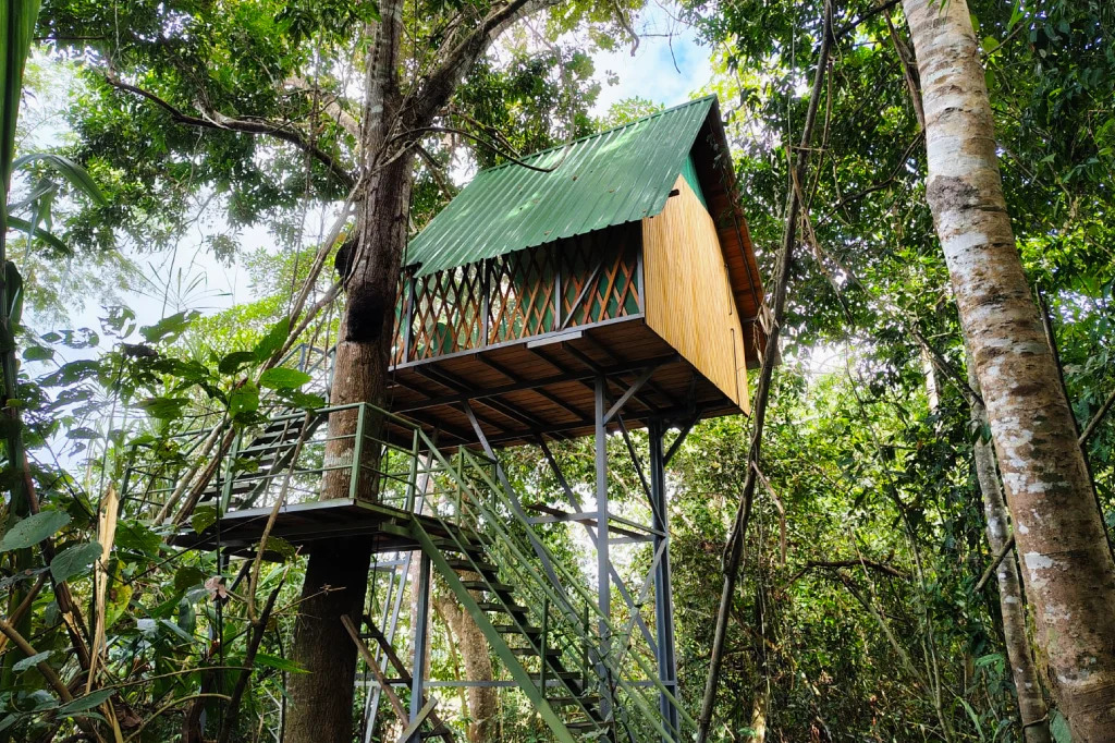 When is the Best Time to Visit Machu Picchu and the Amazon Rainforest?