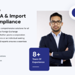 Overview of FEMA Consultant Services for International Business Success