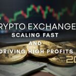 How New Crypto Exchanges Are Scaling Fast and Driving High Profits in 2026