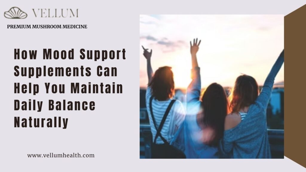 How Mood Support Supplements Can Help You Maintain Daily Balance Naturally