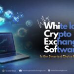 Why White Label Crypto Exchange Software Is the Smartest Choice for Startups