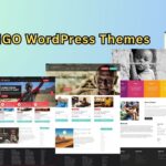 What are the Key Functions of NGOs in Developing Countries?