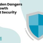 The Hidden Dangers of AI Growth Without Security