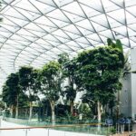 Best Singapore Honeymoon Packages for Couples in 2026