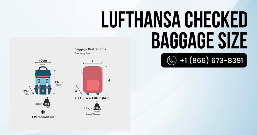 How Much Is Checked Baggage on Lufthansa and Extra Fees Guide