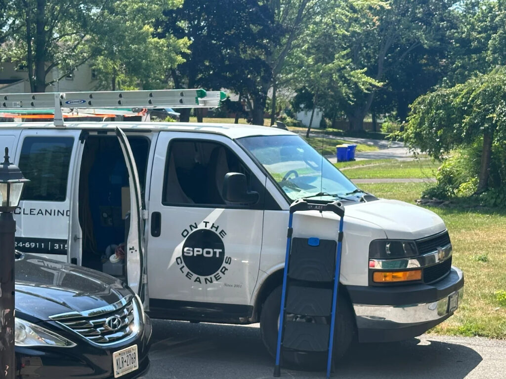 Is Mold Making You Sick? What Every Homeowner Needs to Know